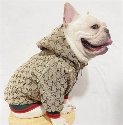 gucci for dogs clothing|designer clothes for small dogs.